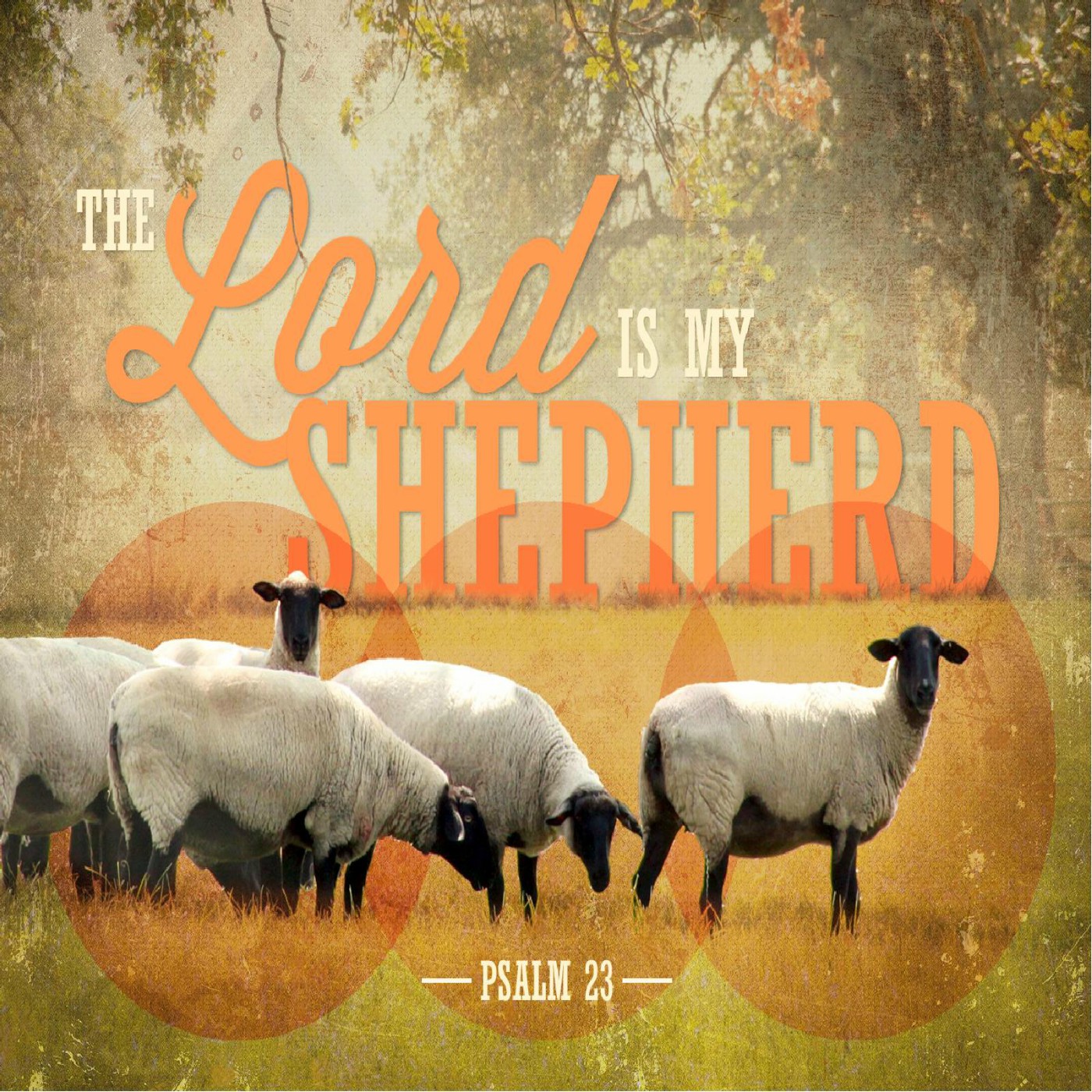 The Lord Is My Shepherd Edgemont Baptist Church